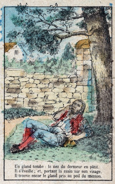 The acorn and the pumpkin. Fables by Jean de La Fontaine by French School