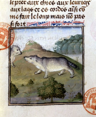 The Badger - in Hunting Book of Gaston Phoebus, Count of Foix, Lord of Béarn by French School