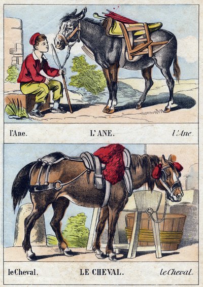 The Donkey and the Horse (Engraving in "Buffon Alphabet des Animaux") by French School