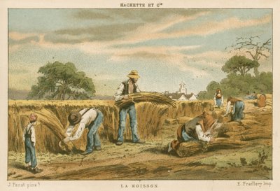 The Harvest by French School