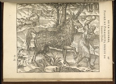 The hunting of a twin-horned unicorn (a pirassoipi.) from 