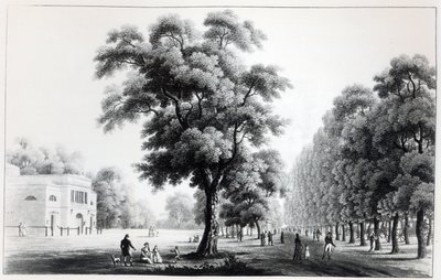 The Main Avenue in the Prater, Vienna, 1821 by French School