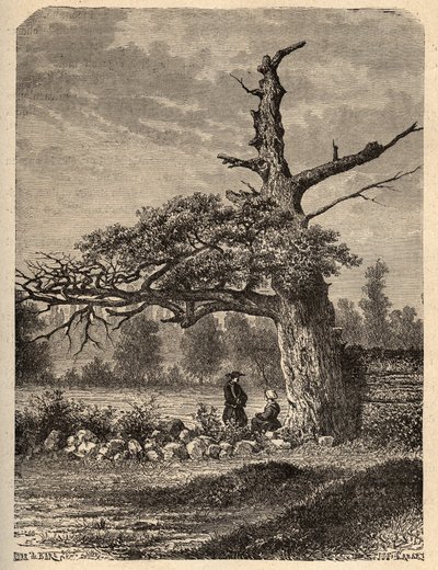 The Oak of Henry IV in Sainte Foix, Near Rennes - Engraving from 