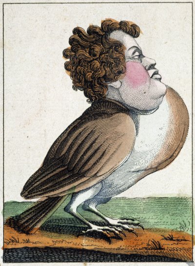 The Pigeon in Caricature, study of character 