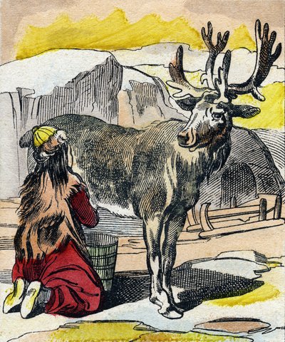 The Reindeer Being Milked (Engraving in "Buffon Alphabet des Animaux") by French School
