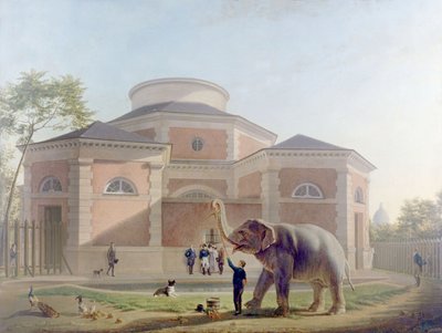 The rotunda in Jardin des Plantes, Paris by French School