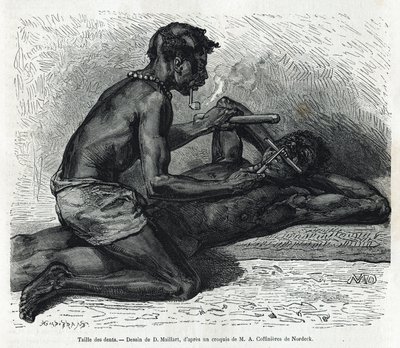 The size of the teeth in the Okanda. Drawing by D. Maillard, to illustrate the story of a trip to Gabon and the Ogooué River in 1875-1877, by Alfred Marche. Engraving in Le tour du monde by French School
