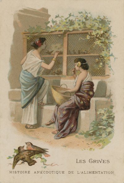 The Thrushes by French School