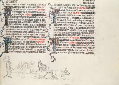 Transporting belongings in an ox-drawn cart, unfinished miniature from The Bible of Jean de Sy, c.1355 by French School