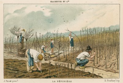 Tree Nursery by French School