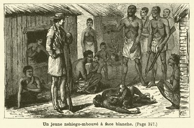 A Young White-Faced Nshiego-Mbouve (engraving) by French School