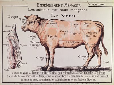 Veal: diagram depicting the different cuts of meat by French School