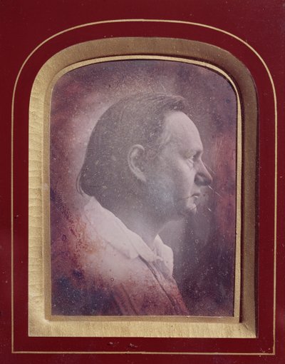 Victor Hugo by French School