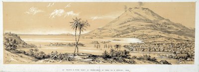 View of Pointe-a-Pitre before the earthquake by French School