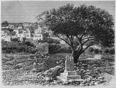 View of Safed, from La Syrie daujourdhui. Voyages dans la Phenicie, le Liban et la Judee. 1875-1880 by Louis Charles Emile Lortet, 1884 by French School