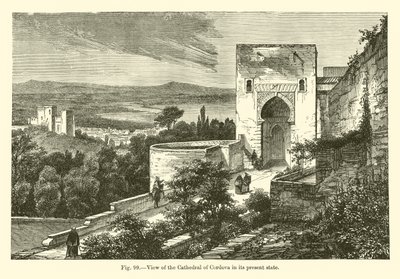 View of the Cathedral of Cordova in its present state by French School