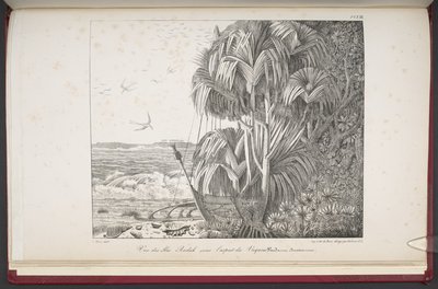 View of the Radak Islands, from 