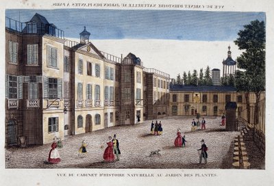 View of the natural history cabinet at the Jardin des Plantes in Paris by French School