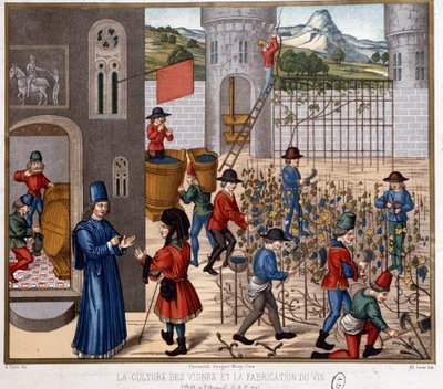 Vine Cultivation and Wine Making in the Middle Ages by French School