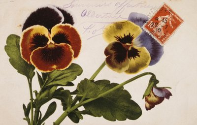Vintage French postcard with floral decorations by French School