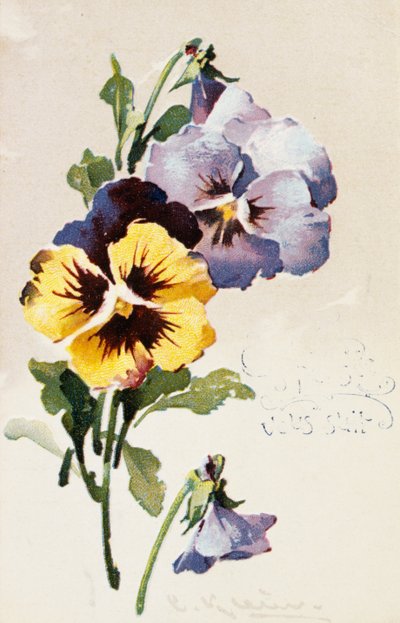 Vintage French postcard with floral decorations by French School