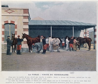 Visit of the Army Veterinarian to the Barracks, 1897 by French School