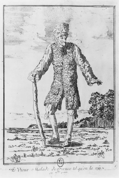 Voltaire in Ferney: 