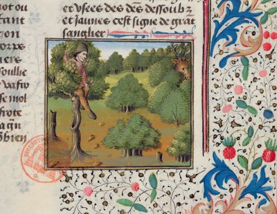 Waiting for Deer Hiding in a Tree, from the Livre de la Chasse by Gaston Phebus by French School