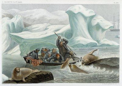 Walrus Hunting - in “The World of the Sea” by Alfred Fredol, Hachette, Paris by French School