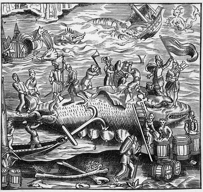 Whale fishing on the French coast of the Atlantic Ocean in the Middle Ages. Engraving in 
