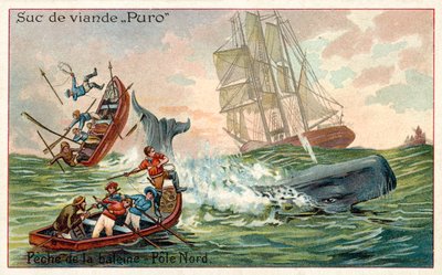Whaling in the Arctic by French School