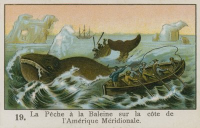 Whaling off the Coast of South America by French School