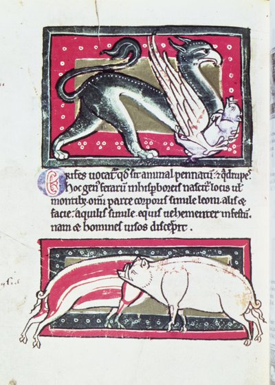 Wild Boar and Griffon, miniature from the Saltykowchsh Edrin Bestiary by French School
