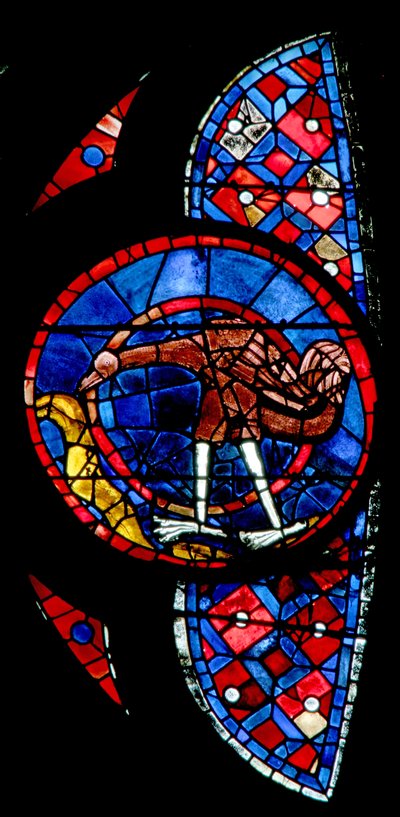 Window w115 depicting the Creation of the birds - an unusual bird by French School