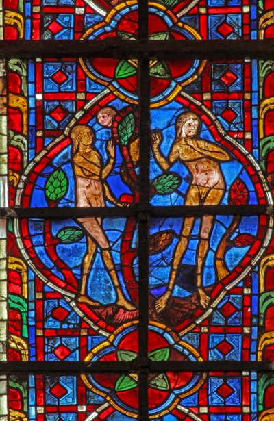 Window depicting Adam and Eve and the Serpent by French School