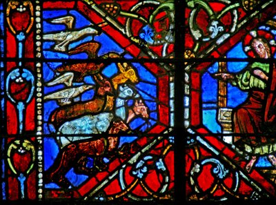 Creation of the Birds and Animals by French School