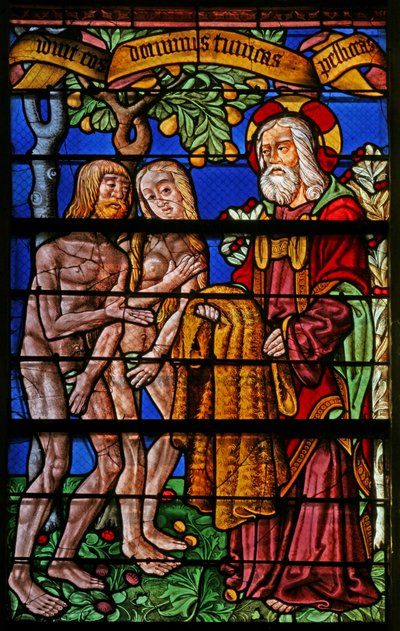 Window 40 depicting Adam and Eve given clothes by French School