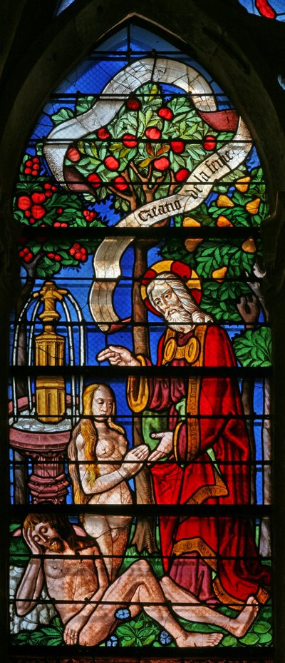 Window 40 depicting the Creation of Eve by French School