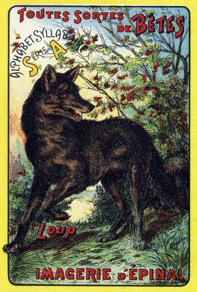 Wolf (Cover of "Syllabary alphabet all kinds of beets") by French School