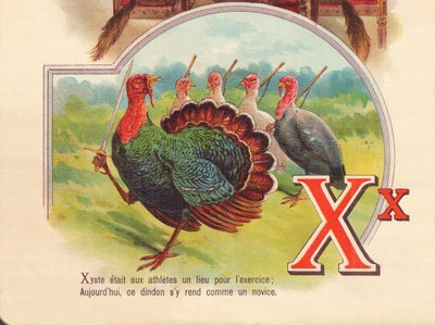 Xyste was a place for athletes to exercise; today, this turkey goes there like a novice by French School