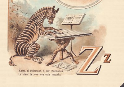 Zebra, if melomaniac, has, on the harmonica, The talent to play a real mazurka by French School