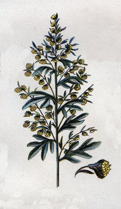 Illustration in 