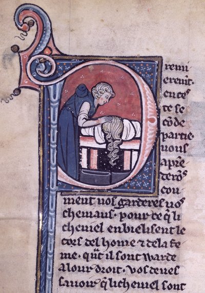 Delousing Session, from a medical treatise by French School