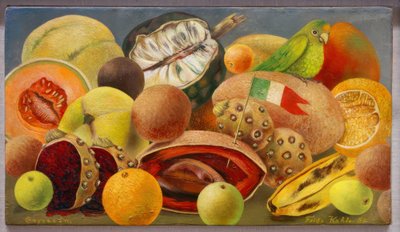 Still Life with Parrot and Flag by Frida Kahlo