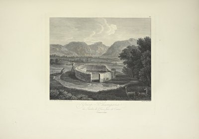 Ynca-Chungana, from the Garden of the Inca near Canar, drawn by Gmelin, engraved by Morel, illustration from 