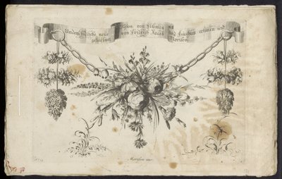 Various New Festoon of Flowers and Fruits by Friedrich Jacob Morisson