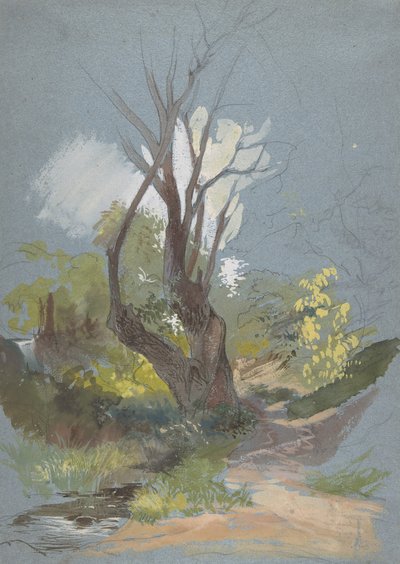Mountain Path with a Tree by Friedrich Nerly