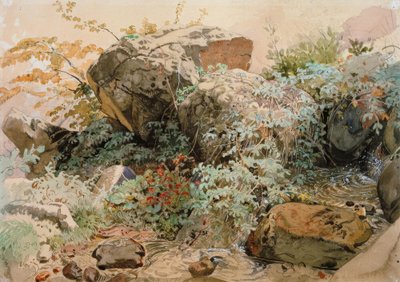 Rock Blocks Overgrown with Shrubs by a Mountain Stream by Friedrich Nerly