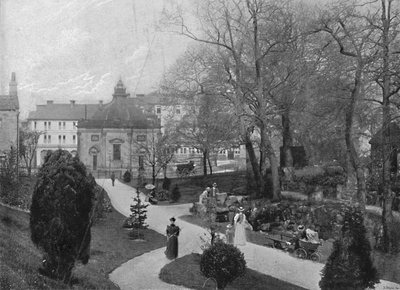 Harrogate: The Bog Gardens Sulphur Well by Frith and Co