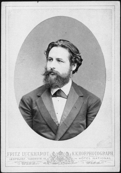 Portrait of the Pianist and Composer Heinrich Karl Johann Hofmann 1842-1902 by Fritz Luckhardt